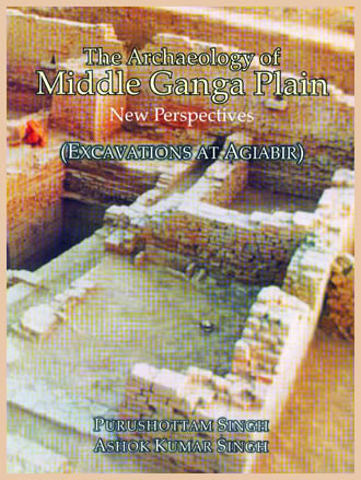 THE ARCHAEOLOGY OF MIDDLE GANGA PLAIN: Excavations at Agiabir